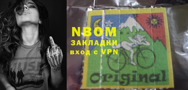 гашик Алексин