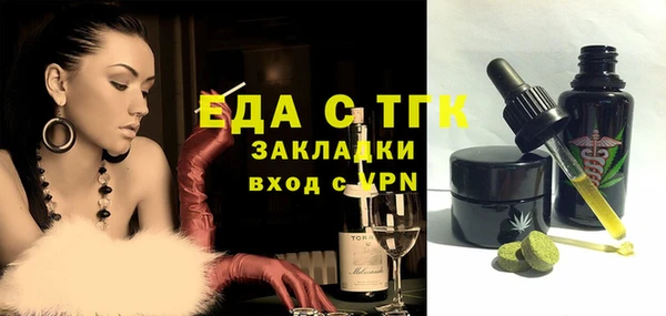 гашик Алексин