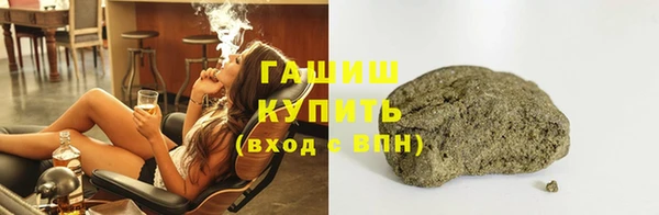 гашик Алексин