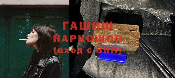 гашик Алексин
