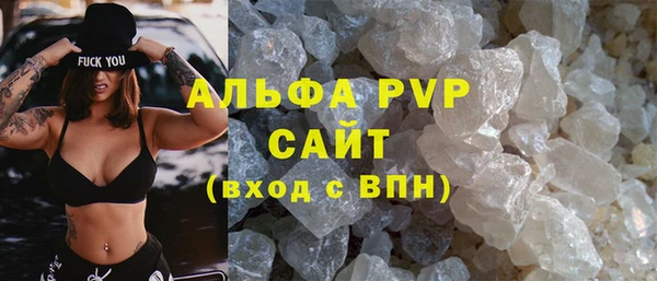 гашик Алексин