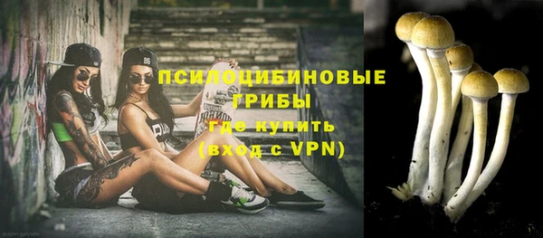 гашик Алексин