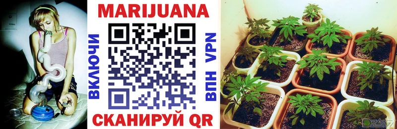 где найти наркотики  Миньяр  Канабис SATIVA & INDICA 